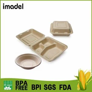 Cynhwysydd Bagasse Sugarcane